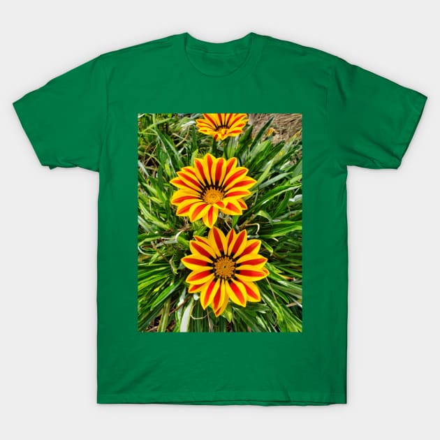 African Daisy T-Shirt by thadz